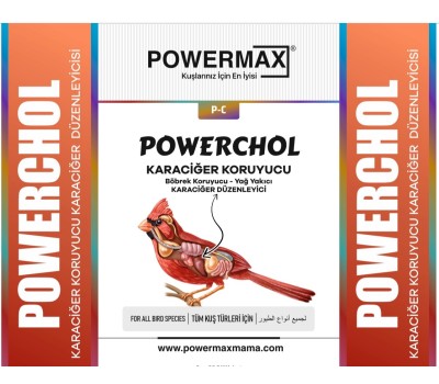 POWERCHOL 250 ML (Karaciğer düzenleyici,karaciğer koruyucu) 